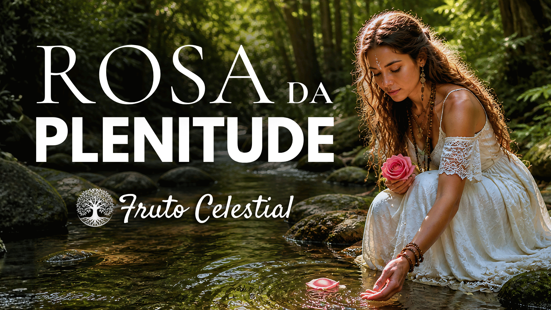 Capa da música Rosa da Plenitude